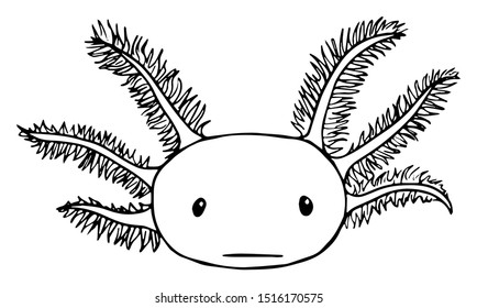 Axolotl Face Line Drawing - Vector Illustration