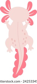 Axolotl Divertido Anfibio Ilustración Vectorial