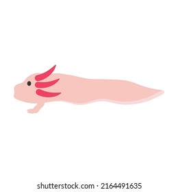 axolotl icon design template vector illustration