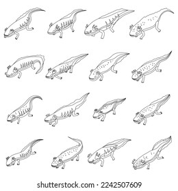 Axolotl icons set. Isometric set of axolotl vector icons for web design isolated on white background outline