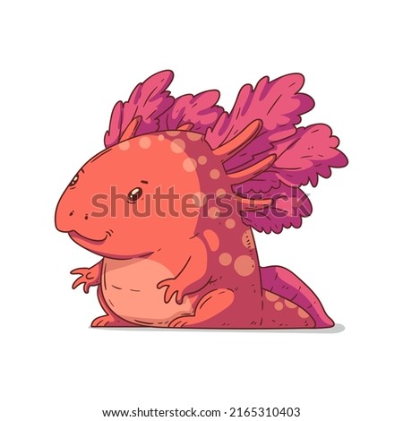 Axolotl, isolated vector illustration. Cute cartoon picture of lovely baby axolotl sitting. Drawn amphibian sticker. A simple drawing of Ambystoma Mexicanum on white background