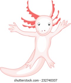 Axolotl (Mexican salamander)