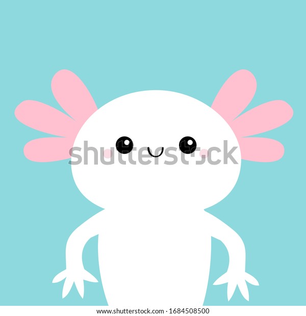 Axolotl Mexican Salamander White Axolotyl Ambysoma Stock Vector Royalty Free