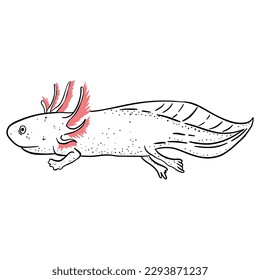Axolotl outline art ,good for graphic design resources, posters, banners, templates, prints, coloring books and more.