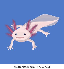 Axolotl pink isolated with four legs. 