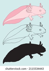 axolotl pink sea cartoon. a black outline and silhouette drawn in sketch style is an isolated element of a marine aquarium reptile with a tail Vector 