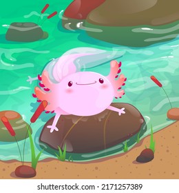 axolotl in a river vector illustration