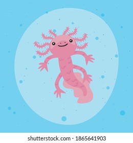 axolotl salamander cute on blue hite background vector illustration design
