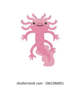 axolotl salamander cute on white background vector illustration design