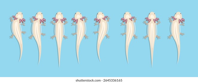 Axolotl Salamander Movendo Animação Quadro Sequência Caráter Animado