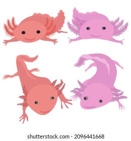 Axolotl-Reihe süßer Tiere in sanftrosa Farbe, schwimmende Amphibienlarven, Vektorgrafik