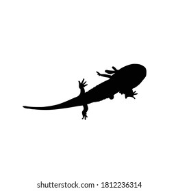 Axolotl Silhouette, Ilustración del vector animal.