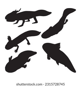 axolotl silhouette set collection isolated black on white background vector illustration