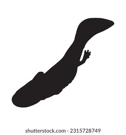 axolotl silhouette set sammlung einzeln auf schwarz-weißem Hintergrund, Vektorgrafik