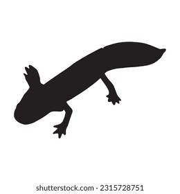 axolotl silhouette set sammlung einzeln auf schwarz-weißem Hintergrund, Vektorgrafik