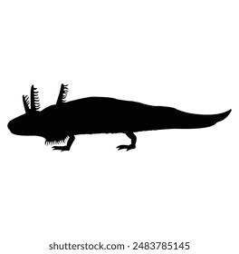 axolotl silhouette vector design. black and white.