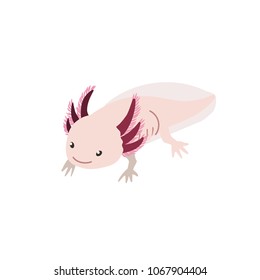 Axolotl. Vector illustration with cute axolot. Flat style. Isolated on white background.