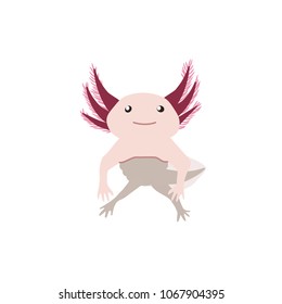 Axolotl. Vector illustration with cute axolotl in a front view. Flat style. Isolated on white background.