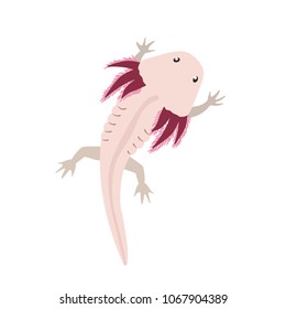 Axolotl. Vector illustration with cute axolotl in a top view. Flat style. Isolated on white background.