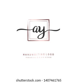 AY initial signature logo. handwriting logo template vector,