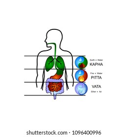 Ayurveda doshas: Vata, Pitta, Kapha and internal human organs. Flat vector icons.