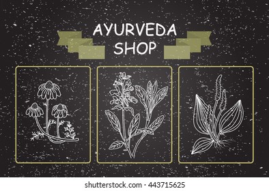 Ayurveda shop - vector illustration. Ayurvedic herbs Suitable for ads, signboards, packaging and identity and web designs. 