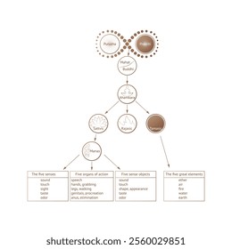 Ayurveda. Theory of manifestation. Purusha, prakriti, elements of ayurveda. Indian alternative medicine. Sattvic, rajasic, tamasic. Infografic. Vector illustration