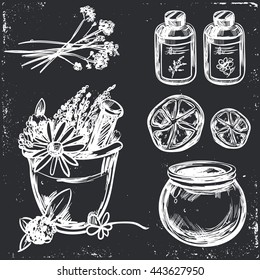 Ayurveda vector Hand drawn Set . Healthy lifestyle. Harmony with nature.