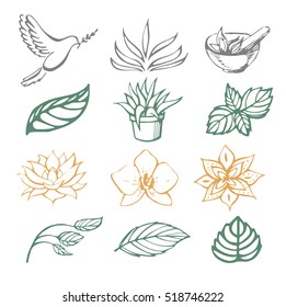 Ayurveda vector illustration. Plants and flowers.