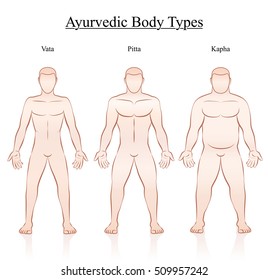 Ayurvedic body constitution types - vata, pitta, kapha. Outline illustration of three men with different anatomy.
