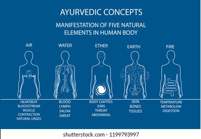 Ayurvedic concepts. Manifestation of five natural elements in human body