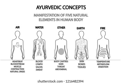 Ayurvedic concepts. Manifestation of five natural elements in human body