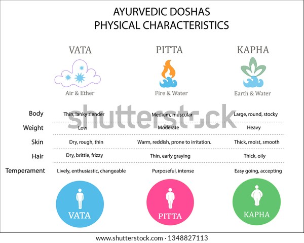 Ayurvedic Doshas Characteristics Vata Dosha Pitta Stock Vector Royalty Free