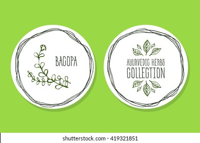 Ayurvedic Herb Collection. Handdrawn Illustration - Health and Nature Set. Natural Supplements. Ayurvedic Herb Label with  Bacopa