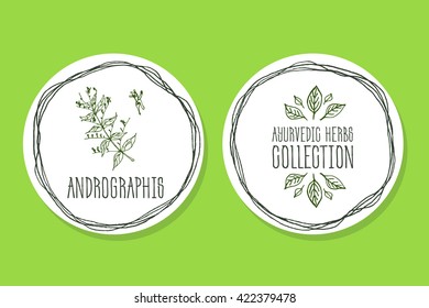 Ayurvedic Herb Collection. Handdrawn Illustration - Health and Nature Set. Natural Supplements. Ayurvedic Herb Label with Andrographis