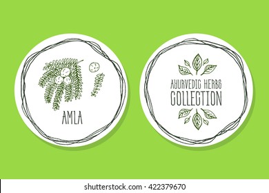 Ayurvedic Herb Collection. Handdrawn Illustration - Health and Nature Set. Natural Supplements. Ayurvedic Herb Label with Amla