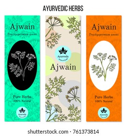 Ayurvedic herbs banners, ajwain (trachyspermum ammi), or ajowan caraway, bishop weed, carom. Hand drawn botanical vector illustration