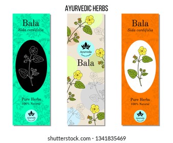 Ayurvedic herbs banners. Bala (sida cordifolia), or country mallow, flannel weed, medicinal plant. Hand drawn botanical vector illustration