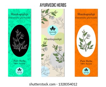 Ayurvedic herbs banners. Shankapushpi (Convolvulus prostratus). Hand drawn botanical vector illustration