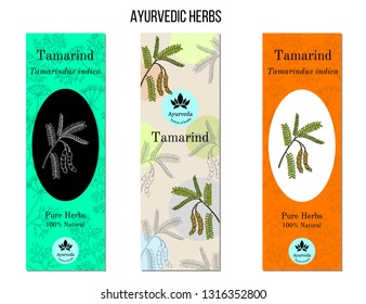 Ayurvedic herbs banners. Tamarind (Tamarindus indica). Hand drawn botanical vector illustration