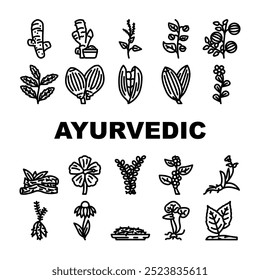 ayurvédico ervas ícones médicos definir vetor. ashwagandha turmeric, brahmi neem, tulsi shatavari, triphala amla, gotu, kola guggul ayurvédico ervas médico contorno preto ilustrações