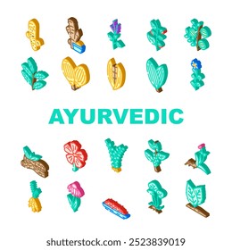 ayurvédico ervas ícones médicos definir vetor. ashwagandha turmeric, brahmi neem, tulsi shatavari, triphala amla, gotu, kola guggul ayurvédico ervas médico ilustrações sinal isométrico