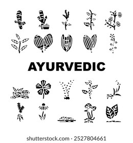 ayurvédico ervas ícones médicos definir vetor. ashwagandha turmeric, brahmi neem, tulsi shatavari, triphala amla, gotu, kola guggul ayurvédico ervas médico glifo pictograma Ilustrações