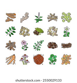 ayurvédico ervas medicina ícones de saúde definir vetor. natureza ayurveda, argamassa neem, manjericão, planta ciência, folha, especiarias orgânicas, cuidado, cura ayurvédico ervas medicina saúde linha de cores ilustrações