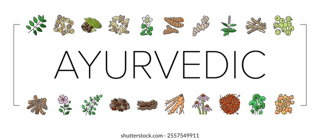 ayurvedic herbs medicine health icons set vector. nature ayurveda, mortar neem, basil, science plant, leaf, organic spices, care, cure ayurvedic herbs medicine health color line illustrations