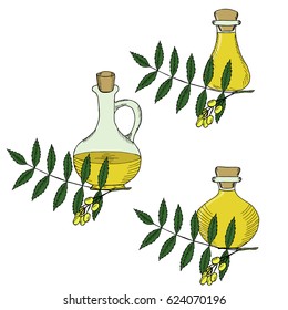 Ayurvedic herbs neem with oil bottles, jug. Set. Neem or nimtree, medicinal plant. Hand drawing ink illustration. Design for essential oil, natural cosmetics, treatment, aromatherapy, homeopathy.