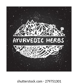 Ayurvedic herbs - zentangle element on chalkboard background