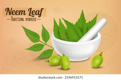Ayurvedic medicinal neem leaves vector illustration with neem fruits isolated on brown background