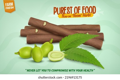 Ayurvedic Neem Chew Sticks and neem tree fruits with neem leaves vector illustration svg