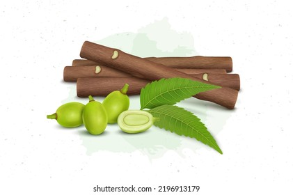 Ayurvedic Neem tree fruits with neem leaves and Neem Chew Sticks vector illustration svg